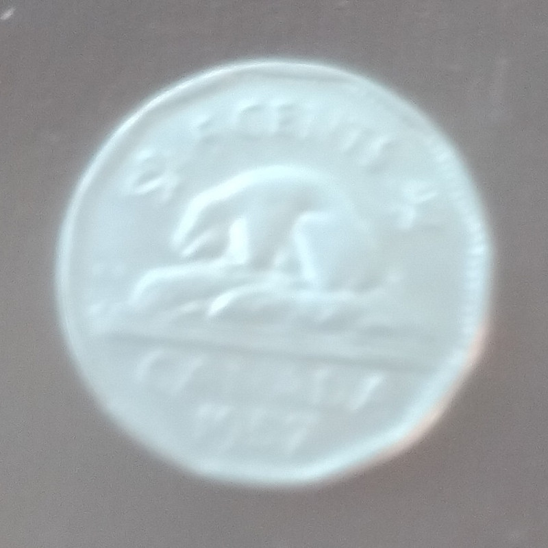 1977 Canada 25C Twenty-Five Cents Caribou Variety Coin - Queen Elizabeth II