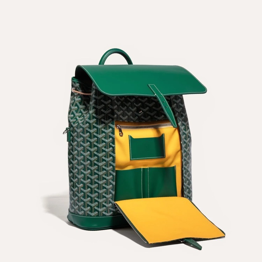 Goyard Alping Backpack MM Green ALPIN2MMLTY09CL09P 143620920 [U] image 7
