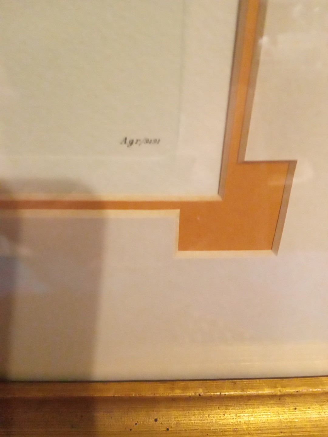 Picture 8 of 21