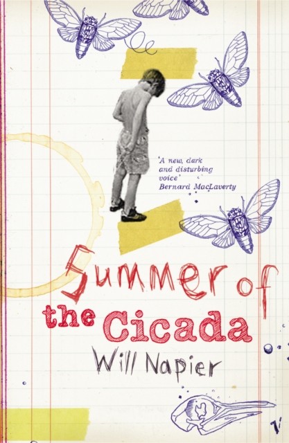 Summer Of The Cicada by Will Napier (Paperback Book)