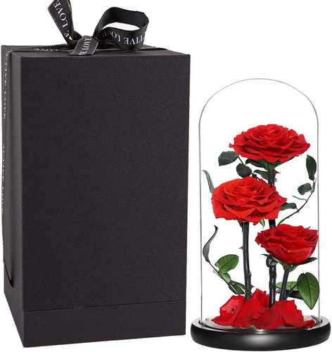 Rosa Roja Preservada Hecho a Mano en Cupula de Cristal Regalo Cumpleanos Mujer - Imagen 6 de 12