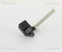 Triscan ZüNdspule 8860 23019 FüR Mercedes Klasse W205 W213 Model S205 C205 A205
