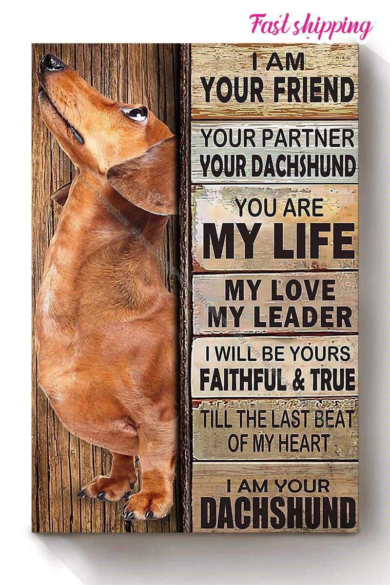 Foster dachshund hotsell