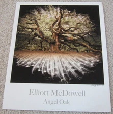 RARE  SIGNED  ELLIOTT McDOWELL POSTER    ANGEL OAK   2011  GREAT CONDITION   HTF