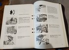 Foto 7 di 8