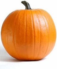 25 Pumpkin Pie Seeds-Heirloom Seeds-Grow You own Jack-o-Lanterns
