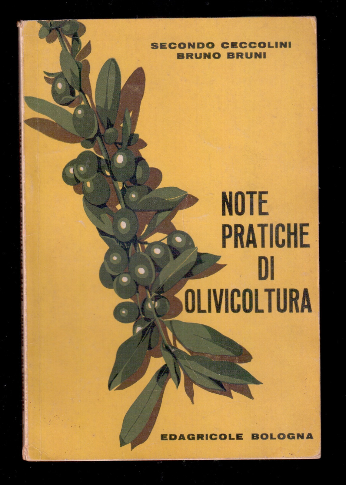 Foto 1 di 1