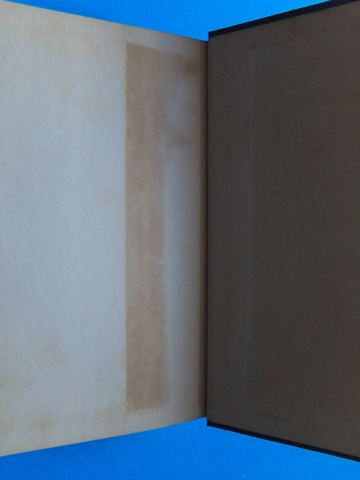 Picture 4 of 5