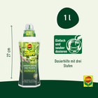 Bild 3 von 12