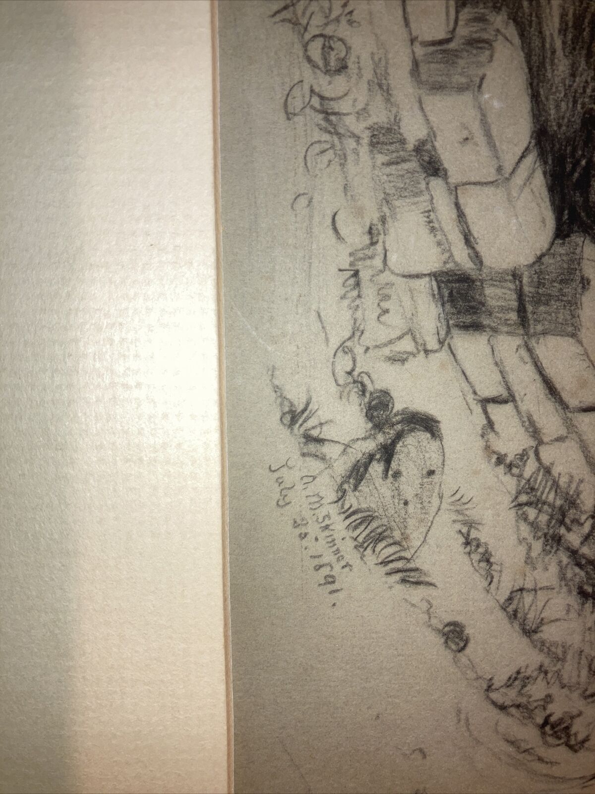 Picture 5 of 11
