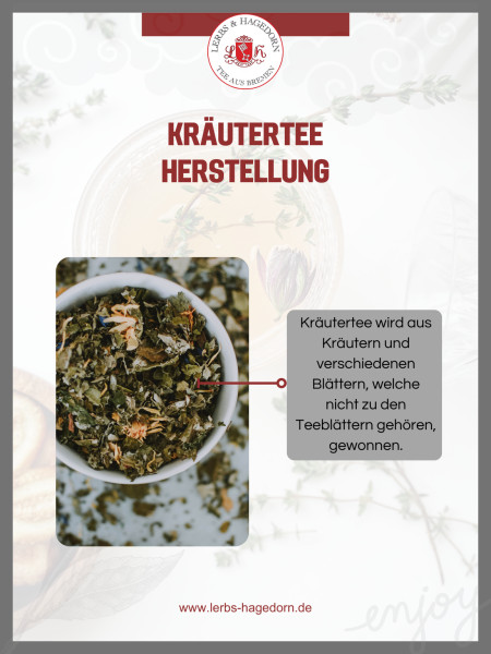Bild 3 von 9
