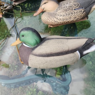 Set Of 6 Mallard Hen And Drake Decoys Green Head Gear With Weights
