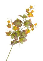 Artplants Kunstzweig Weinreben Noah, GrüN-Rot, 75Cm