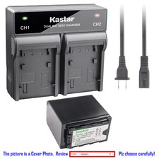 Kastar Battery AC Rapid Charger for Panasonic VW-VBD78 VW-VBD58 VW-VBD29 VG-B23P
