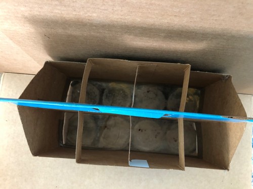 Vintage PEPSI LIGHT Lemon Glass Bottles w/ Carrier 8 PACK 16oz unopened SEALED - Picture 15 of 18