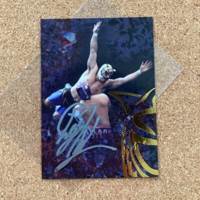 BBM Pro Wrestling Karte Tiger Maske Autogrammkarte Neu Japan Satoshi Sayama