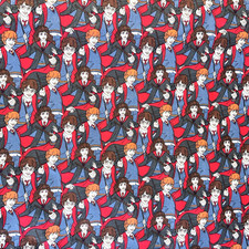 Harry Potter Characters Fabric 1.833 Yards 43" Wide 100 Cotton