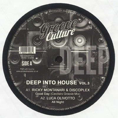 Various - Deep Into House Vol.3 (12'')