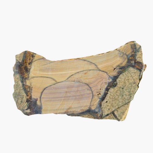 Blue Mountain Jasper Slab - Bubbly Orb Pattern - Oregon - Picture 4 of 4