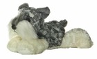 Bild 9 von 10