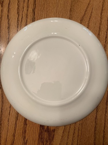 VTG SOUVENIR COLORADO 9 1/4" "TOP OF THE NATION" PLATE,W/ HISTORICAL SITES NOTED - Picture 4 of 4