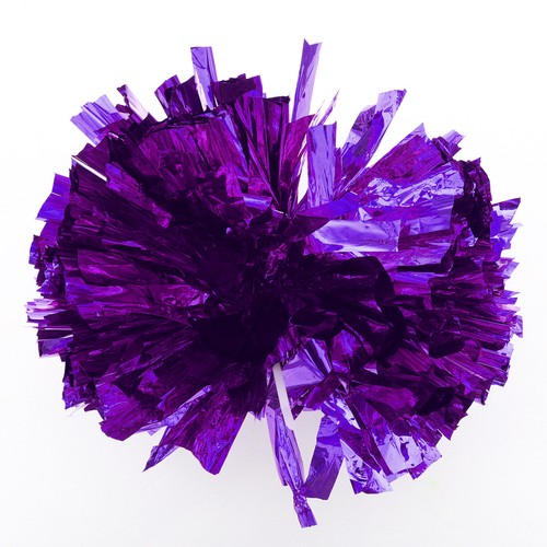 Kids 2 Pack Cheer Leader Shiny Pom Poms for Team Spirit Cheering Performance - 第 38/40 張圖片