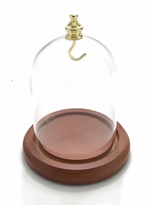 3'' x 4'' Glass Display Dome with Brass Knob, Walnut Finish Base, Free Ship NEW