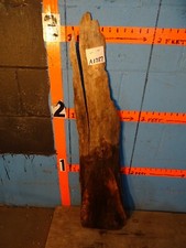 A1778 2 1/8" THICK black walnut Live Edge Slab shelf table KILN DRIED