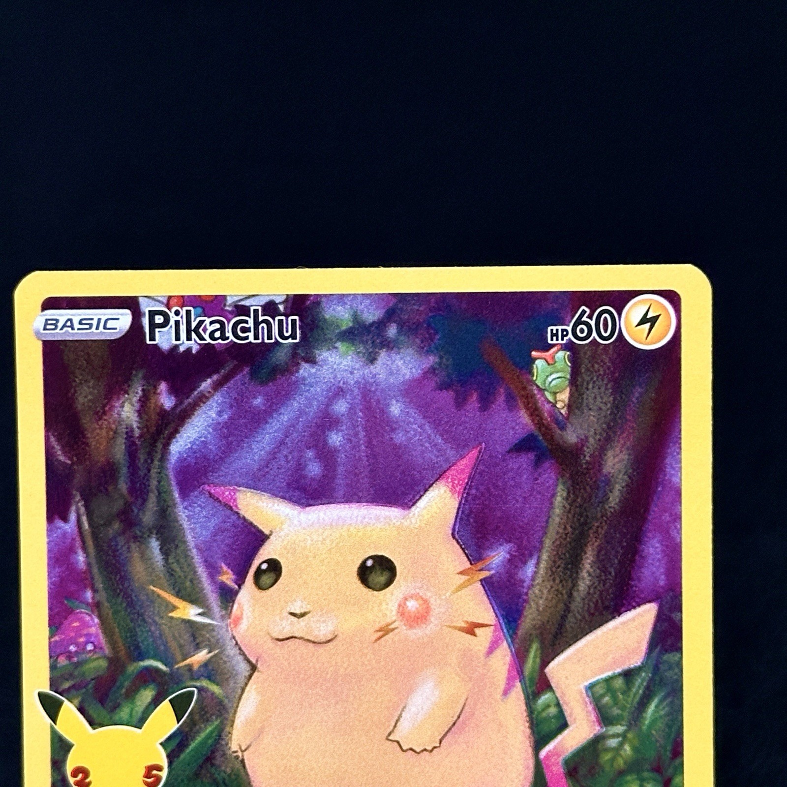 Picture 3 of 20