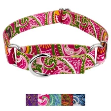 Country Brook Petz® Martingale Dog Collar - Paisley Collection