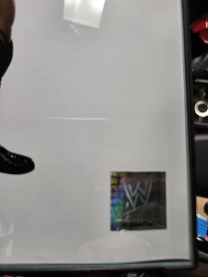 岩石签名 8x10 德维恩·约翰逊签名 WWF 签名 — 第 3/3 张图片