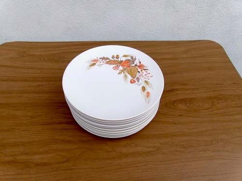 VINTAGE BOONTONWARE MELMAC ( LOT OF 11 ) ORANGE HARVEST BROWN DINNER PLATES 3103 - Picture 7 of 7