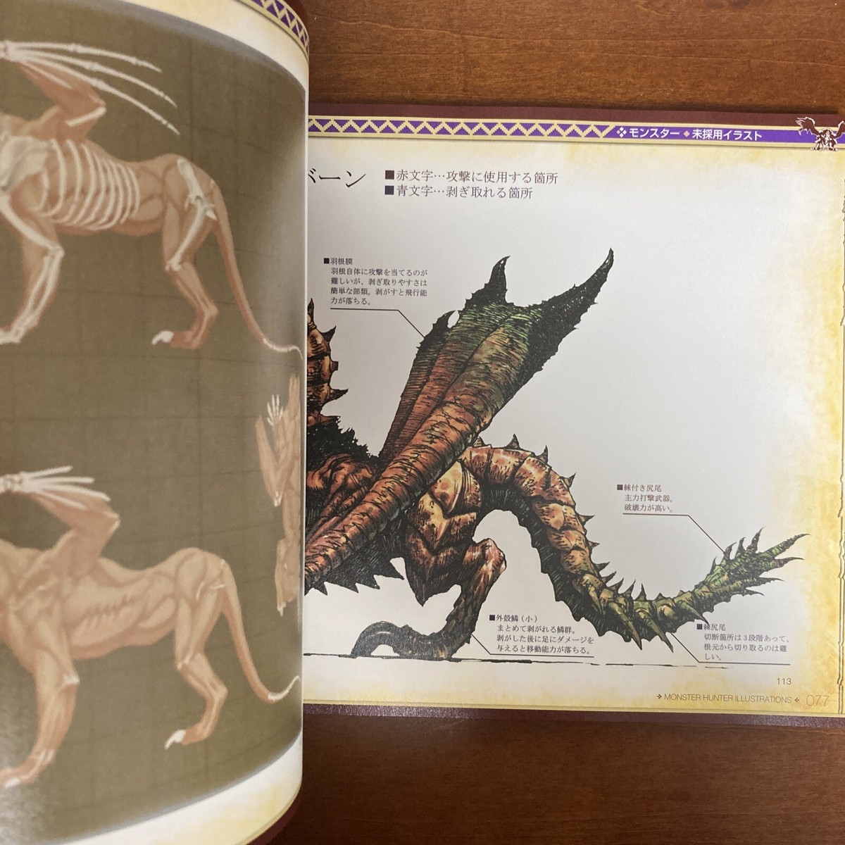 Monster Hunter Illustrations 1 & 2 Set Art Book Illustration