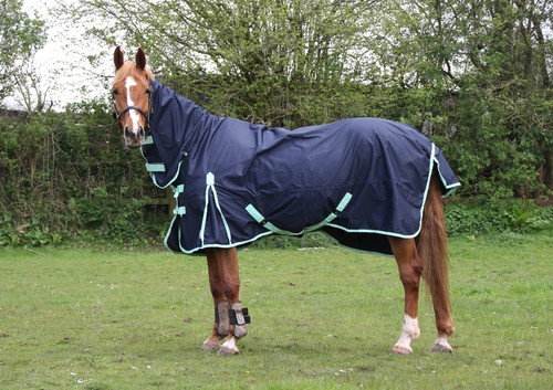 Alfombra de caballo ligera sin relleno 600D estándar y combo cuello impermeable - Imagen 10 de 38