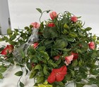 Bild 9 von 15