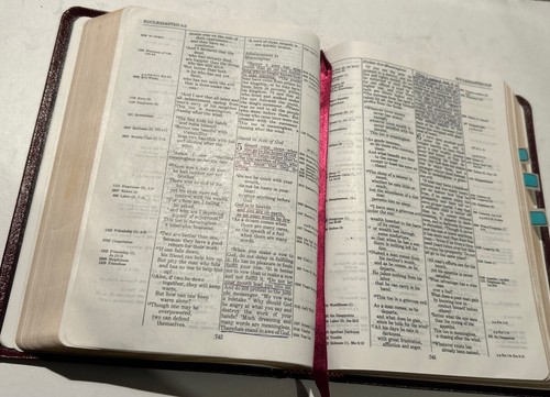 Thompson Chain-Reference Bible OOP 1984 NIV  Burgundy Bonded Leather C. 1990 RL - Picture 14 of 24