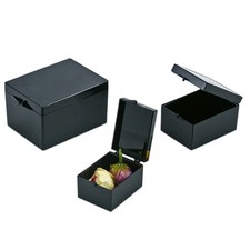 Storage Box Plastic with Hinged Lid Crafts Storage Organiser Medicine Box Black