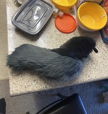 Gray and Black Fursuit Hyena Tail