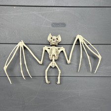 12  Halloween Skeleton for Decor, Full Body Skeleton with Posable Movable Head