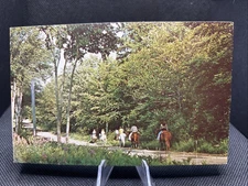 POSTCARD: Sundance Ranch Gaastra Michigan Q6