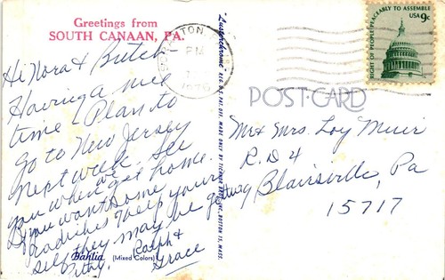 Vintage Postcard- Orange Bahlia bloom, South Canaan, PA - Picture 2 of 2