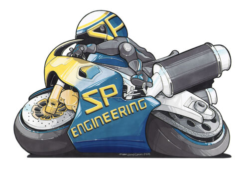 Tiger 900 Auspuff 1998-2001 SP Engineering Diabolus schwarz rund XL Carbon Auslass - Bild 5 von 8