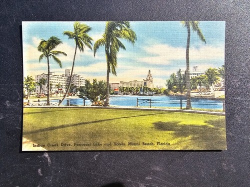 7 postales vintage de lino Florida Virginia sin publicar sin usar Miami Beach Cypress - Imagen 2 de 15