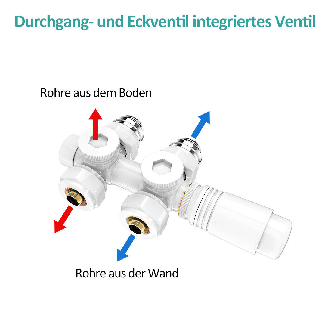 Bild 37 von 75