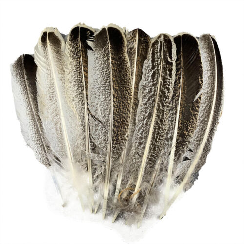 10/50 Stck. Truthahnfeder Fasanfedern für Dekoration Handwerk Karneval Schmuck - Bild 15 von 15