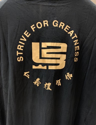 Camisa Nike LeBron James Strive For Greatness China para hombre XL nueva con etiquetas - Imagen 6 de 8