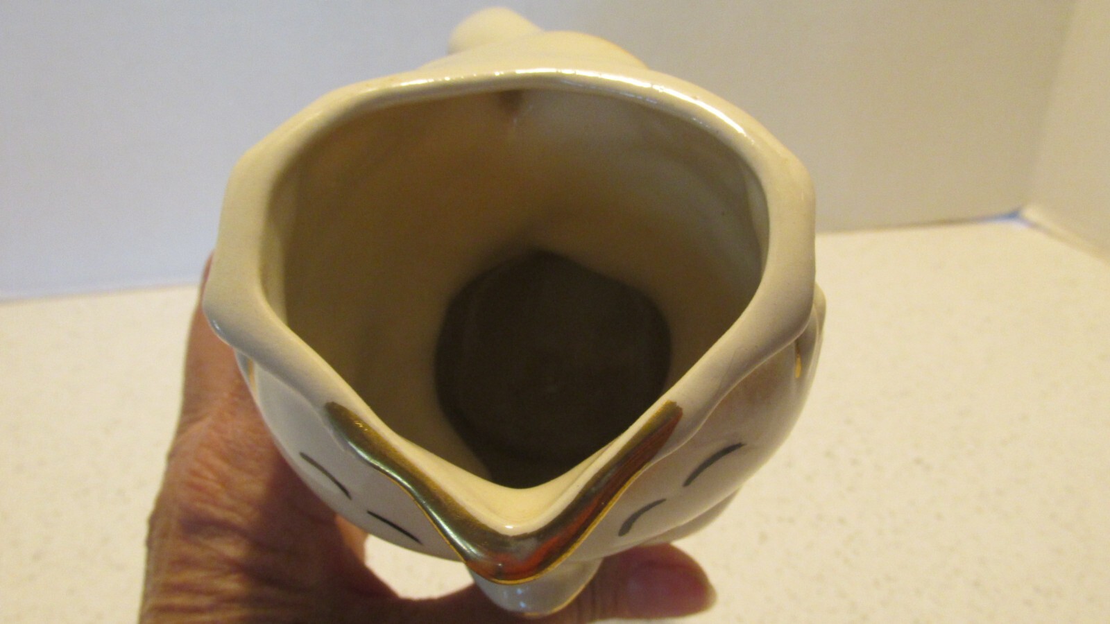 Picture 5 of 6