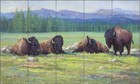 Buffalo Tile Backsplash Marsha McDonald Art Ceramic Mural MMA006
