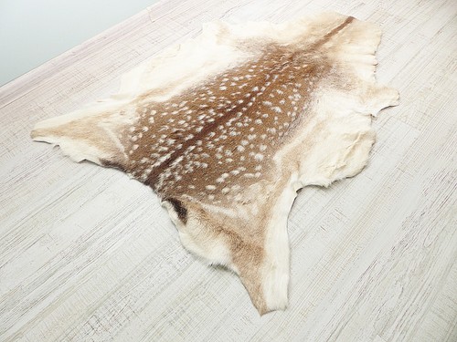 Real Fallow Deer Skin Hunting Room Decor Viking Theme Leather Clothing Deer Hide - Picture 9 of 9