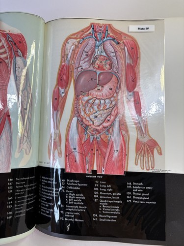 Textbook of Anatomy and Physiology By  Anthony & Kolthoff Hardcover - Picture 12 of 14